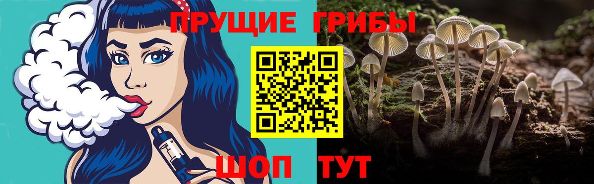 Галлюциногенные грибы прущие грибы Нерюнгри